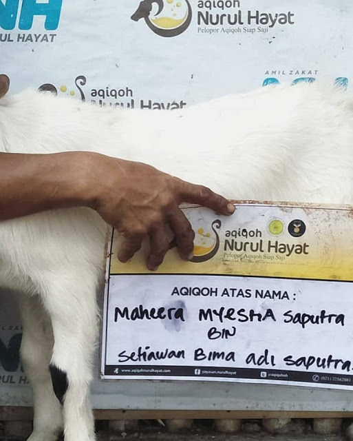 jasa aqiqah , aqiqah , akikah , jasa akikah , aqiqah ciledug , aqiqah petukangan , aqiqah karang tengah , aqiqah pedurenan , aqiqah nurul hayat ciledug , aqiqah terdekat , catring aqiqah, paket aqiqah murah , aqiqah murah