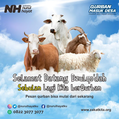 qurban, qurban nurul hayat, aqiqah qurban , qurban murah